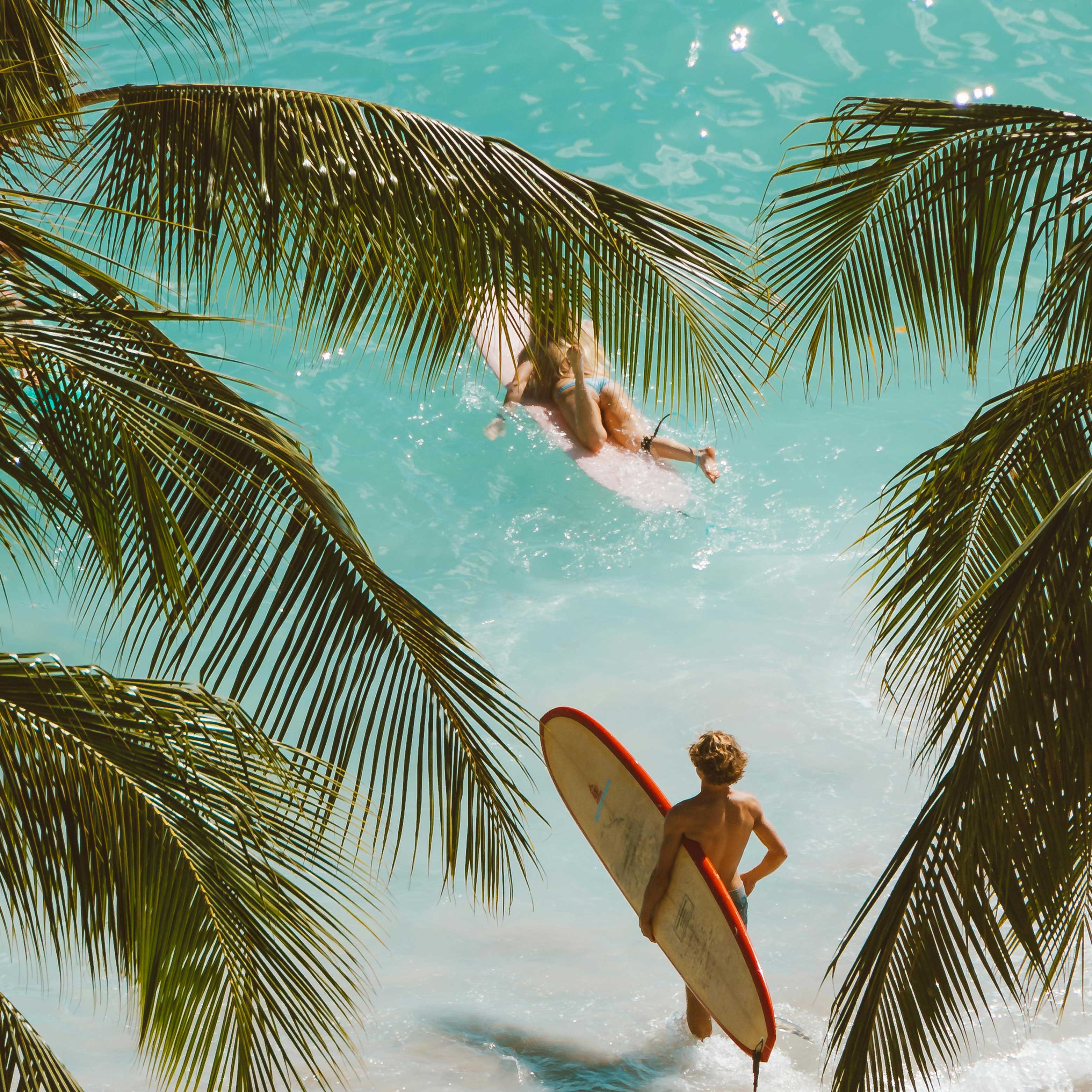 Surf Camps