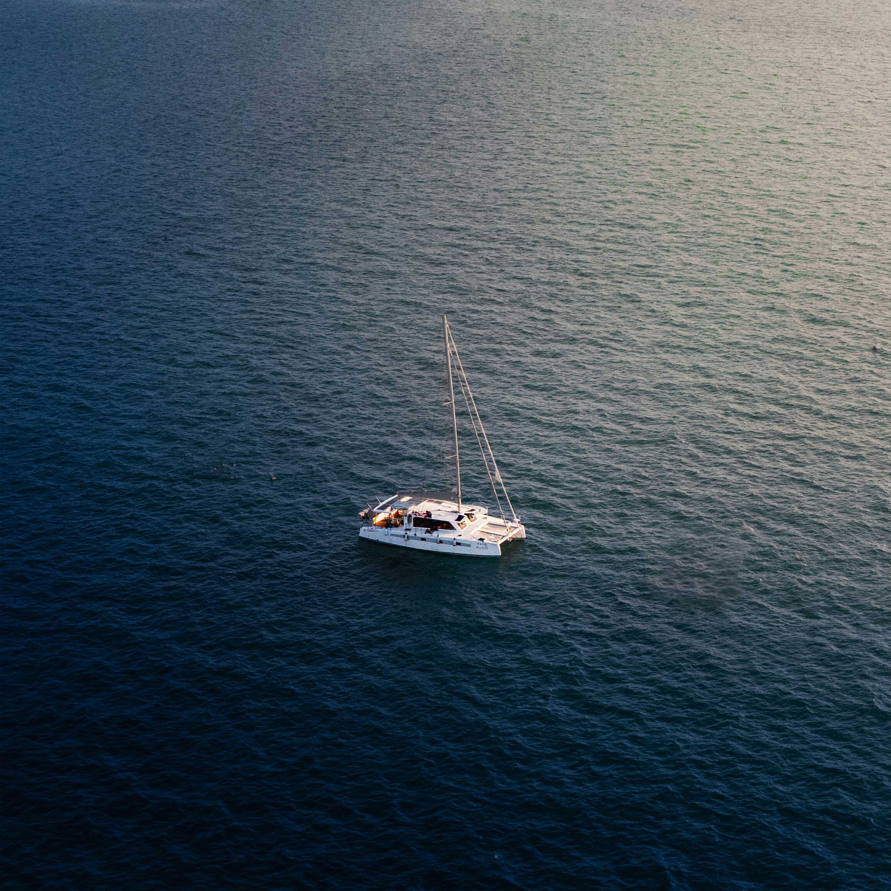 Surf Charters