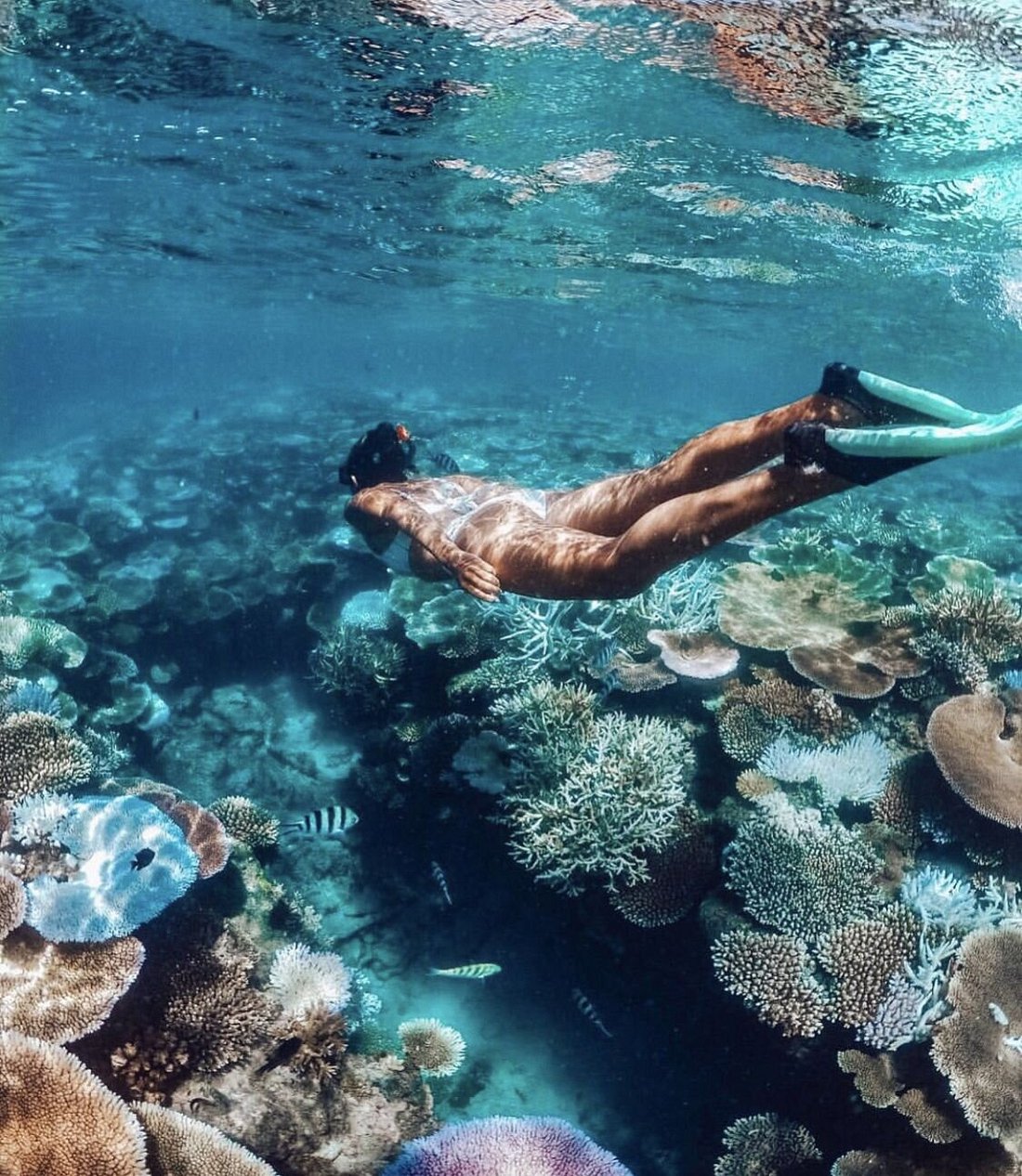 Ocean Adventures Package